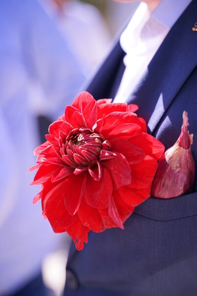 Fotograf, videograf, cabina foto, cameraman, drona, DJ, filmari.